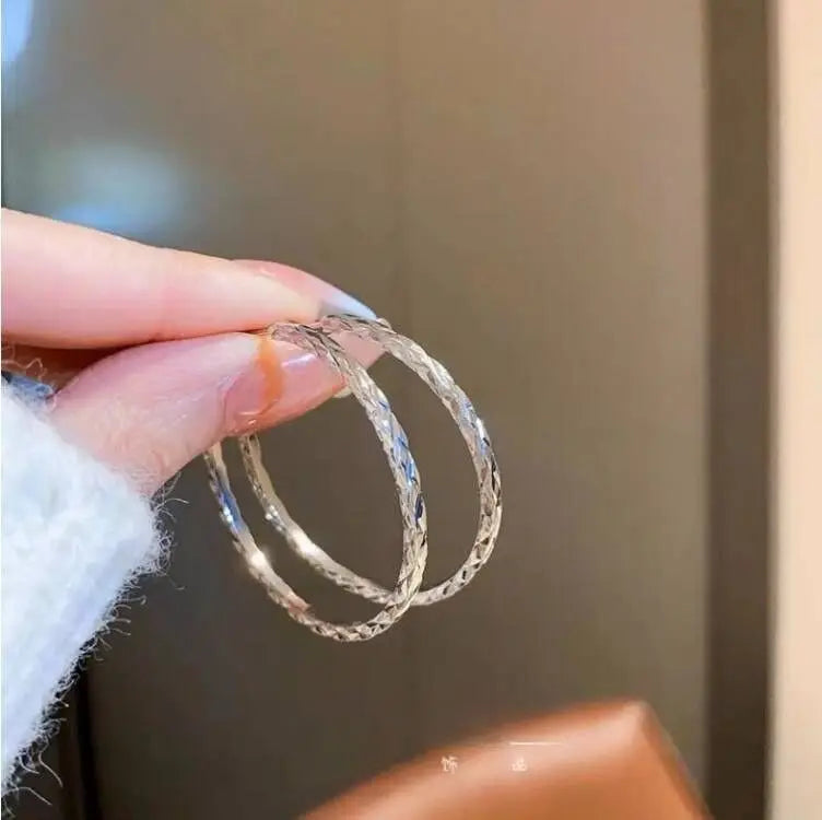 Women's Fashion Big Circle Hoop Earrings