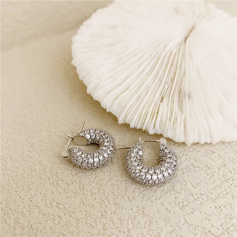 Women's CZ Stone Bling Hoop Earrings – Big & Small Sizes
