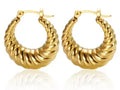 Women's Luxury Zircon Geometric Circle Hoop Earrings