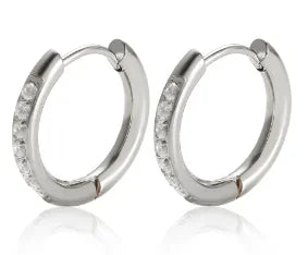 Women's Luxury Zircon Geometric Circle Hoop Earrings